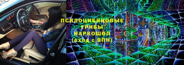 бошки Алексин